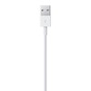 Apple iš Lightning į USB laidas (0.5 m) ME291ZM/A 