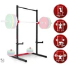 Stacionarus prisitraukimo strypas Neo-Sport Apex Frame