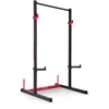 Stacionarus prisitraukimo strypas Neo-Sport Apex Frame
