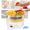 Gruzdintuvė Maltec Džiovintuvas spożywcza DryMaster500W-II