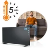 Šildytuvas infraraudonųjų spindulių infraraudonųjų spindulių spinduliuotė 600 W Berdsen BD-980