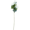 Home4You Dirbtinė gėlė „FLOWERLY“, aukštis 67 cm, balta, „Mimosa“