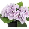 Home4You Dirbtinė gėlė GARDEN H18cm, violetinė hortenzija su vazonu