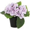 Home4You Dirbtinė gėlė GARDEN H18cm, violetinė hortenzija su vazonu