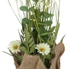 Home4You Dirbtinė gėlė GARDEN H35cm, baltas margainis, žolė su vazonu