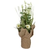 Home4You Dirbtinė gėlė GARDEN H35cm, baltas margainis, žolė su vazonu