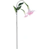 Dirbtinė šakelė GREENLAND H90cm angelo trimitas