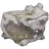 Gėlių vazonas STONE 19×15,5xH14cm, varlė