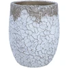 Gėlių vazonas „SUNNY DESERT“, D33 x H39,5 cm, baltas