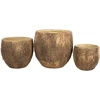 Gėlių vazonas „SUNNY OAK“, D37xH32 cm, rudas
