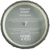 Home4You Kvapnioji žvakė stiklinėje dėžutėje NATURE Žalias H7,5cm, Evergreen