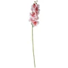 Home4You Orchidėja GĖLĖ H94cm, šviesiai rožinė