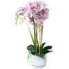 Home4You Orchidėja GARDEN QUEEN H68cm, šviesiai rožinė