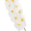 Home4You Orchidėja SODYBAI H92cm, baltas falenopsis