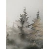 Sienų meno kūrinys WALLY 30x90cm, Eglės miškas