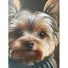 Sienų meno kūrinys WALLY 50x50cm, mažas šuo