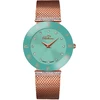 Laikrodis BELLEVUE WOMAN F110 (27MM)