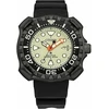 Laikrodis CITIZEN Vyrams BN0227-25X (47MM)