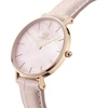 Laikrodis DANIEL WELLINGTON DW00100514. Kwarcowy, Kolor rožinė. Kobieta.
