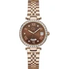 Laikrodis Watches GC LADIES Z01009L4MF