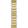 Laikrodis Watches GC LADIES Z25002L1MF