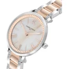 Laikrodis PIERRE CARDIN moterims CBC.5006 (32MM)