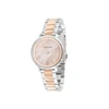 Laikrodis PIERRE CARDIN moterims CBC.5006 (32MM)