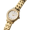 Laikrodis PIERRE CARDIN moterims CF.0607.SE.G (30MM)
