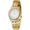 Laikrodis PIERRE CARDIN moterims CF.0611.SE.G (30MM)