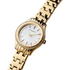 Laikrodis PIERRE CARDIN moterims CF.0611.SE.G (30MM)