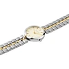 Pierre Cardin Classic CF.0707.SU.G Moteriškas Laikrodis