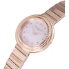 Laikrodis PIERRE CARDIN moterims CF.1010.MR.1 (32MM)