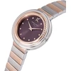 Laikrodis PIERRE CARDIN moterims CF.1010.MU.1 (32MM)
