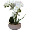 Dirbtinė orchidėja vazone