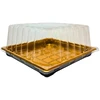 Plastikinis padėklas su dangteliu 1vnt užkandžiams 22 x 22 x 10 cm