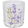Mondex Žvakė stikle 150g 74094
