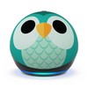 Amazon Echo Dot 5 Eulen Design