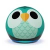 Amazon Echo Dot 5 Eulen Design