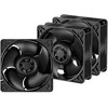ARCTIC S12038-4K serverio ventiliatoriai, 4-pin, 40mm, 3 vnt.
