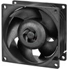ARCTIC S8038-7K serverio ventiliatorius, 4-pin, 80mm