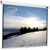 „Celexon Professional 1:1“ rankinis ekranas, 220x220