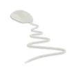CHERRY M-5400-0 kompiuterinė pelė USB A tipo Optinis 1000 DPI Abiems rankoms