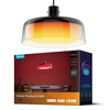 Govee Pendant light RGBICWW išmanusis pakabinamas šviestuvas, Matter (H60C1)