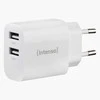 Krautuvas Intenso MAITINIMO ĮRANGA 2XUSB-A / 7802412 INERSO