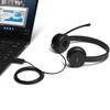 Lenovo 100 Stereo USB Ausinės
