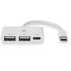 Nedis USB šakotuvas 1 x USB-C™ 1 x USB-C™ – 2 x USB 2.0 A, 3 prievadų prievadas (-ai), maitinamas per USB