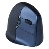Pelė Evoluent VerticalMouse 4 Wireless Right Hand