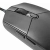 Pelės Pedea FirstOne (60030050)