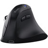Trust Vyran pelė Universal dešinei rankai RF belaidė + Bluetooth Optinė 4800 DPI