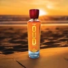 House Of Perfumes Oud Ambari EDP parfumuotas vanduo unisex, 100 ml